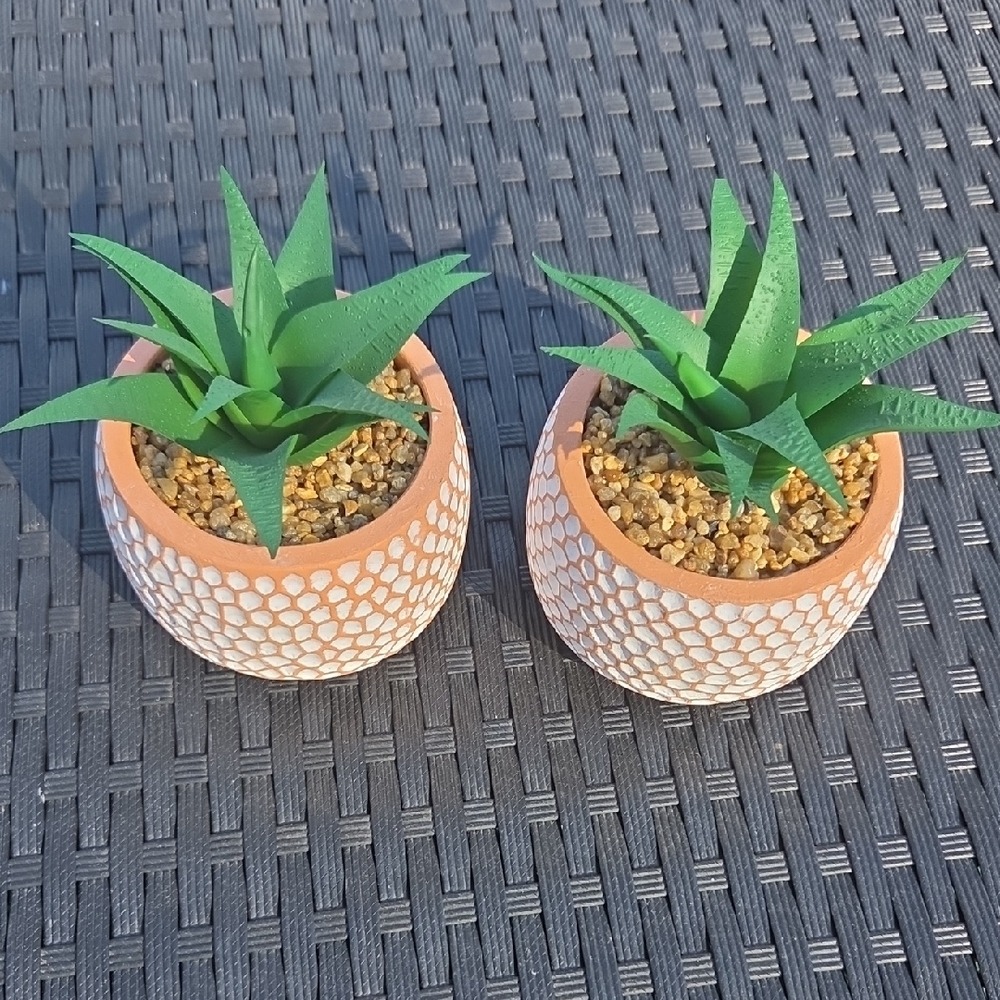 Green Artificial Succulent Plants in Textured Pots